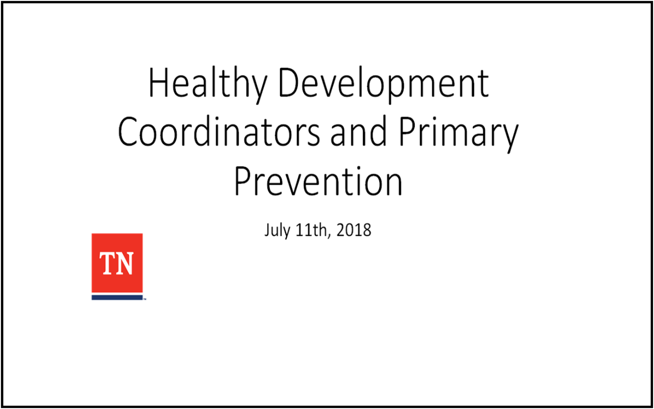 Healthy Development Coordinators Webinar Screenshot Healthy Development Coordinators Webinar Screenshot