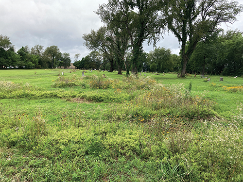 Benevolent Cemetery