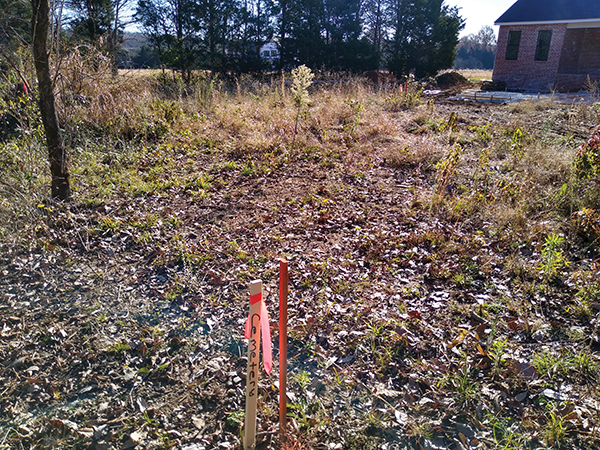 Unnamed cemetery nearly lost to time near Mt. Juliet, Tennessee