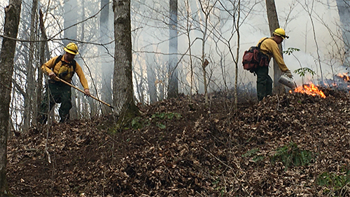Fighting Fire in Carter Co.
