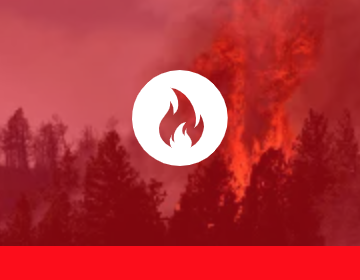 fiResponse-status_Active fiResponse-status_Active
