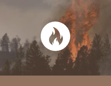 fiResponse-status_CONTAINED fiResponse-status_CONTAINED