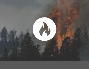 fiResponse-status_CONTROLLED fiResponse-status_CONTROLLED