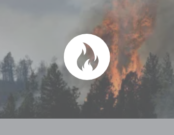 fiResponse-status_FIRE OUT fiResponse-status_FIRE OUT
