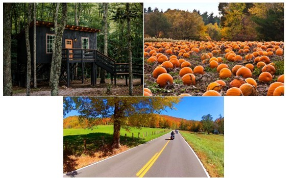 Fall in Tennessee
