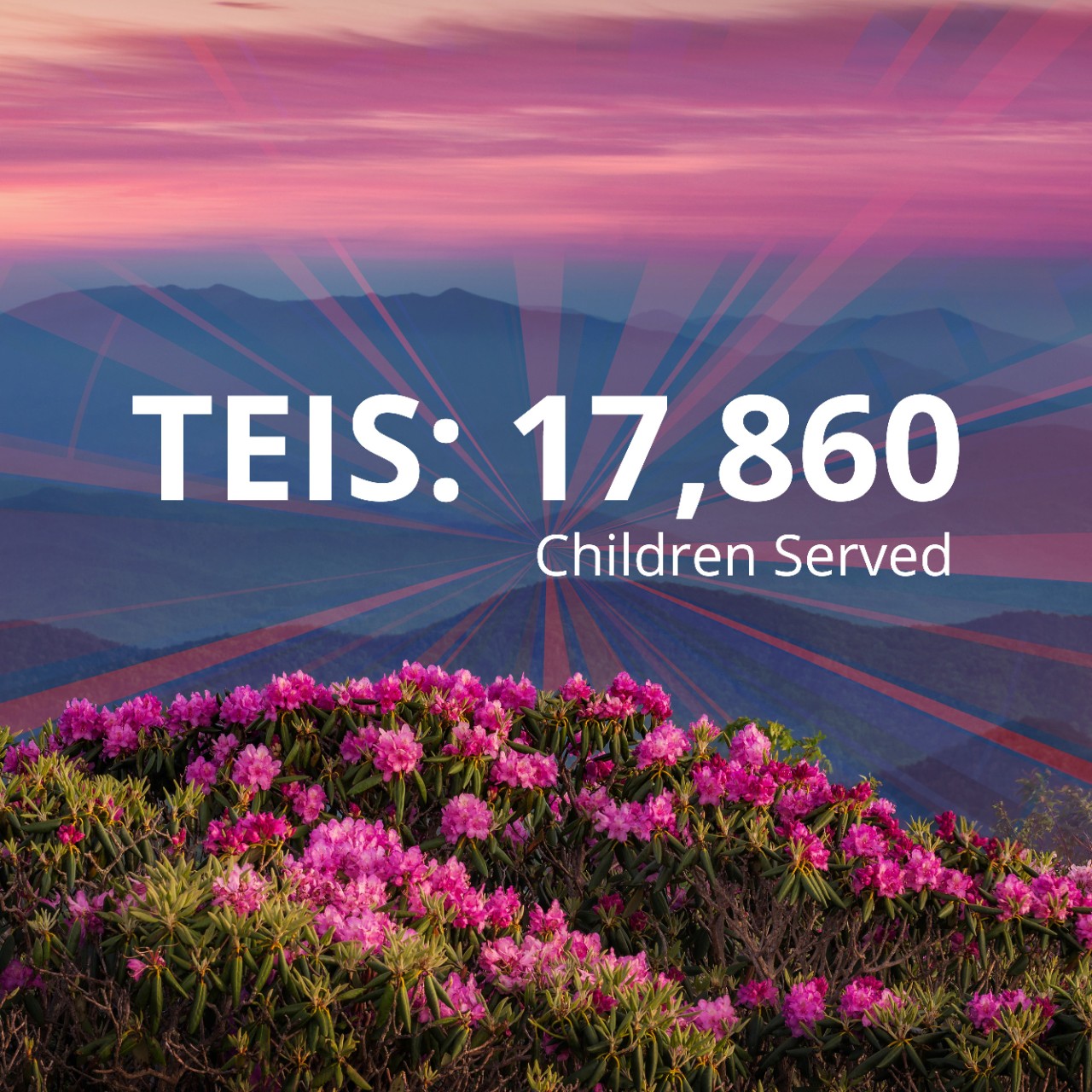 DIDD_2022_teis