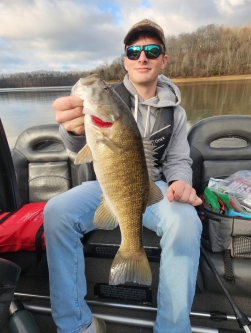 Tims Ford Lake, Tennessee - Catch