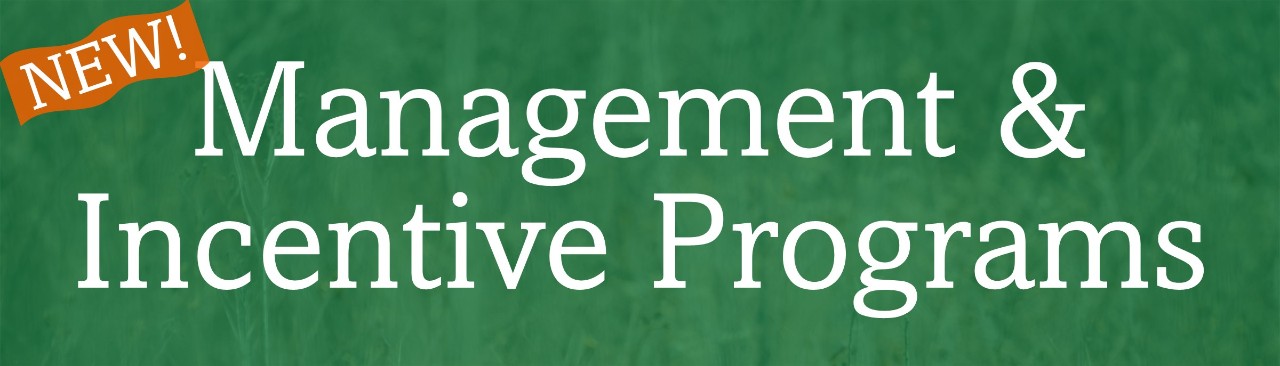 CWD Management and Incentive Programs