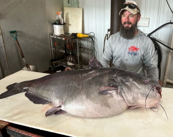 Class: A Species: Blue Catfish Weight: 122 lbs., 3 oz. Waterbody: Barkley Reservoir Angler: Micka Burkhart Date: June 28, 2023 Class: A Species: Blue Catfish Weight: 122 lbs., 3 oz. Waterbody: Barkley Reservoir Angler: Micka Burkhart Date: June 28, 2023