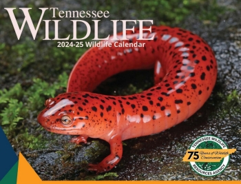 Tennessee Wildlife Calendar cover