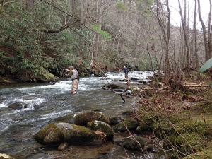 blog-browns-story