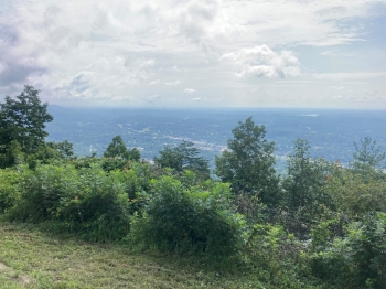 Mount Roosevelt WMA