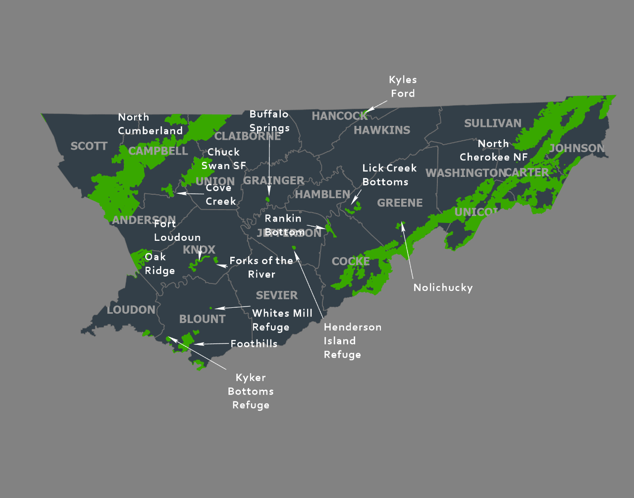 Middle Tennessee Region 2