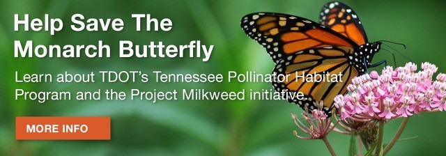TDOT Help Save the Monarch! TDOT Help Save the Monarch!