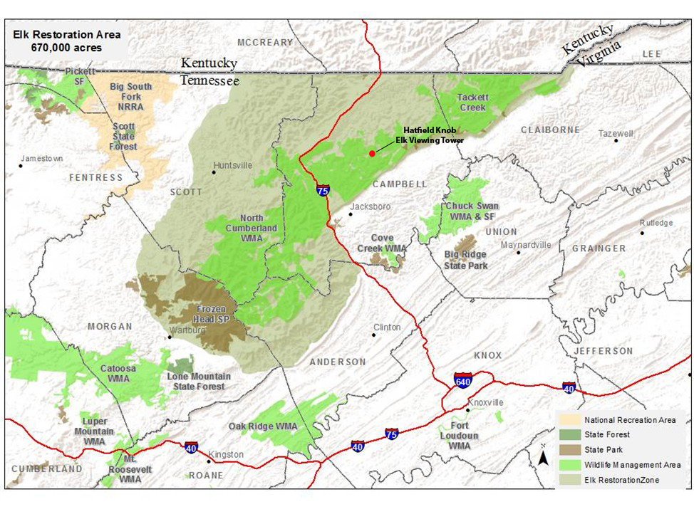 TN elk restoration Area