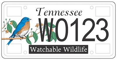 Bluebird License Plate