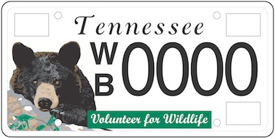 Bear License Plate