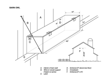 barn-owl-nest-box-plan