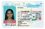 Veteran Driver's License